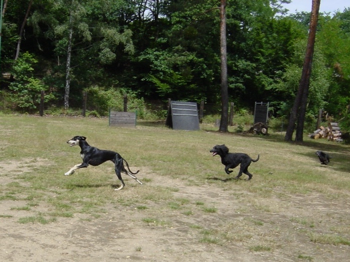 Mitraa, Hanka, Evi